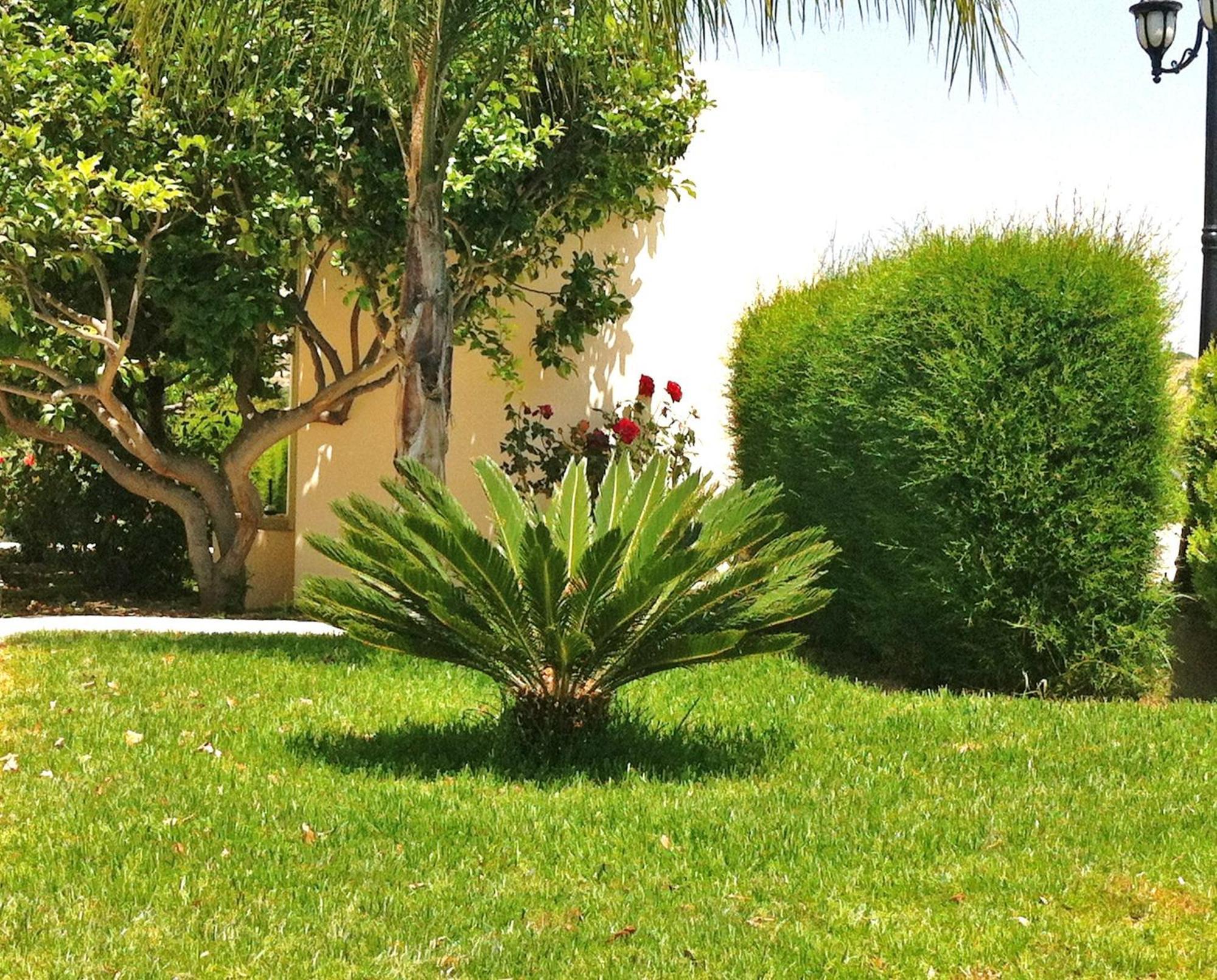 Himonas Apartments Pissouri Esterno foto